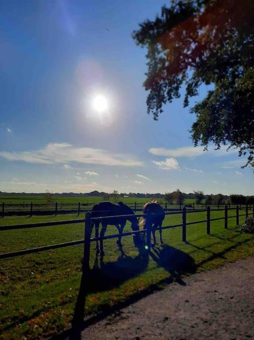 Linderhuisje, Rust, Ruimte, Privacy En Natuur ภายนอก รูปภาพ